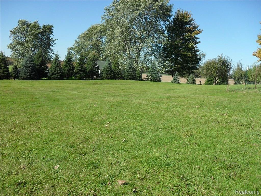 5450 Mortimer Line Road Croswell, MI 48422 - Photo 11 of 38 SDC12026.JPG