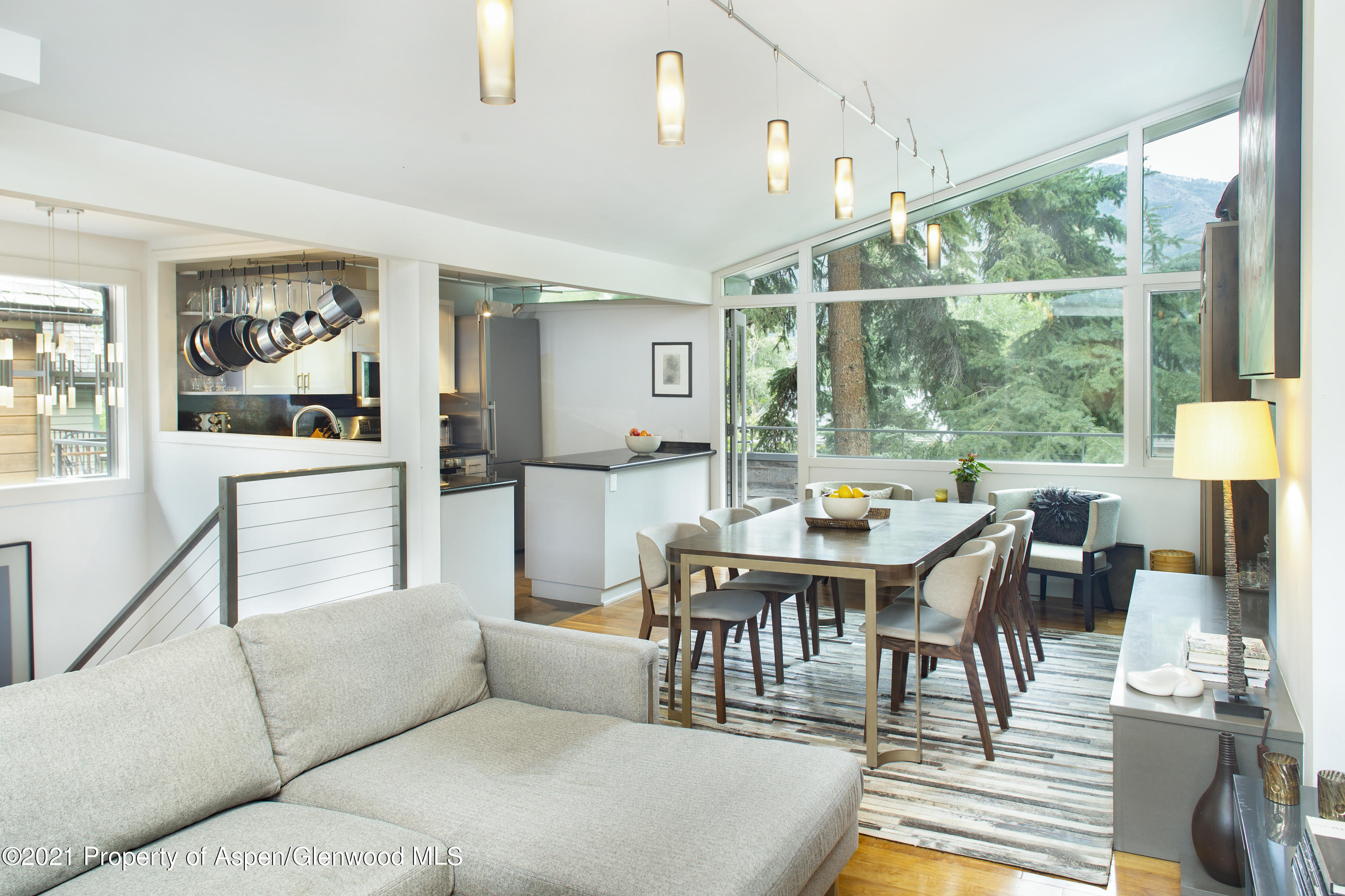 1001 East Cooper Avenue, Unit 4 Aspen, CO 81611 - Photo 1 of 14 IMG_1669