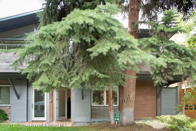 $25,000 | 1001 East Cooper Avenue, Unit 4, Aspen, CO 81611