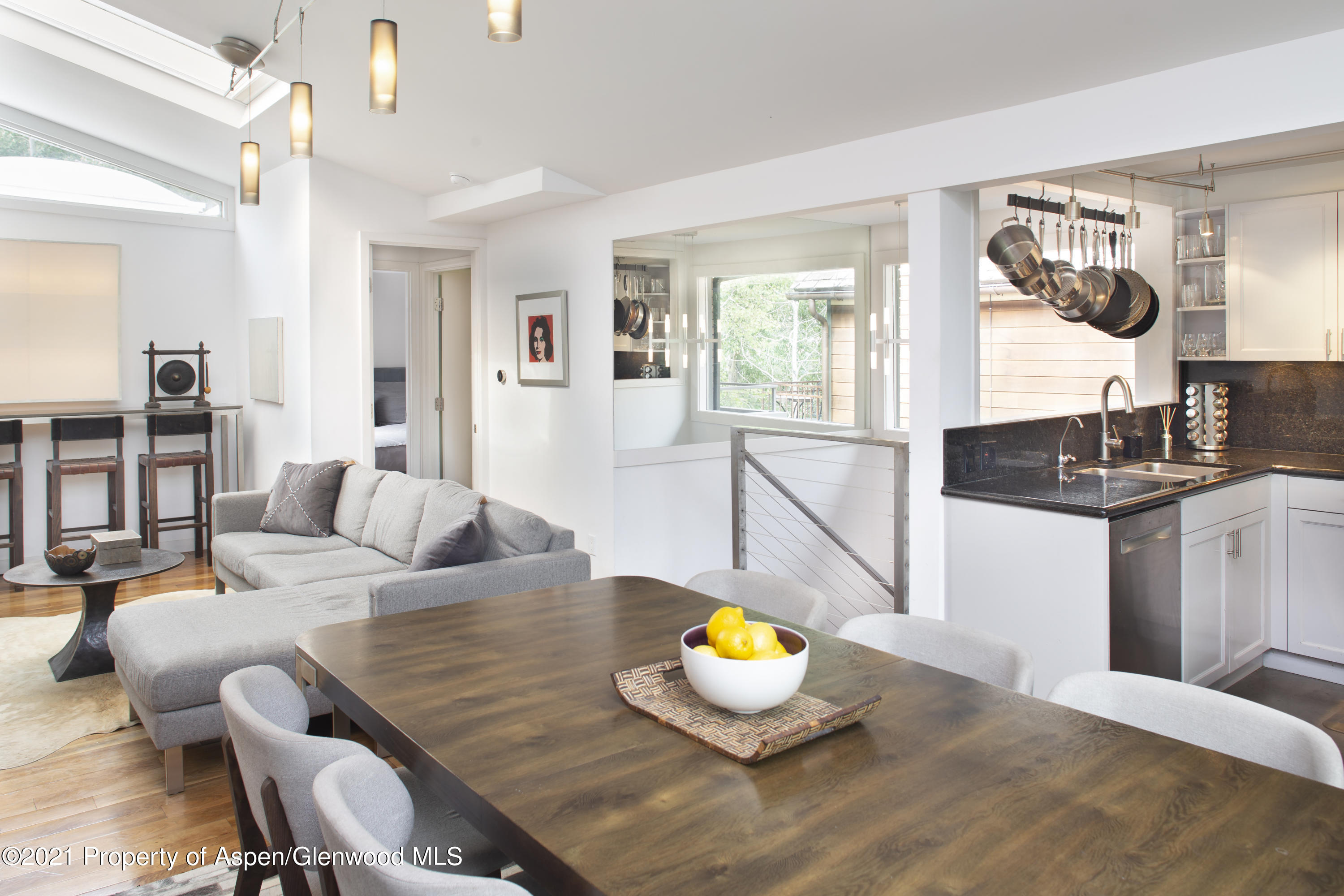 1001 East Cooper Avenue, Unit 4 Aspen, CO 81611 - Photo 2 of 14 IMG_1661