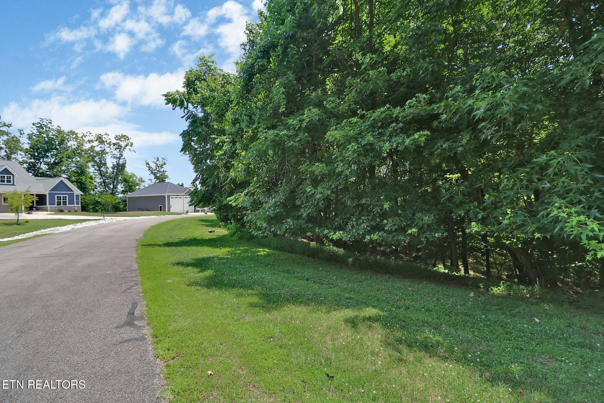 Lot 216 Reuben Ridge Road Rockwood, TN 37854 - Photo 15 of 15 n44a7397-n44a7401