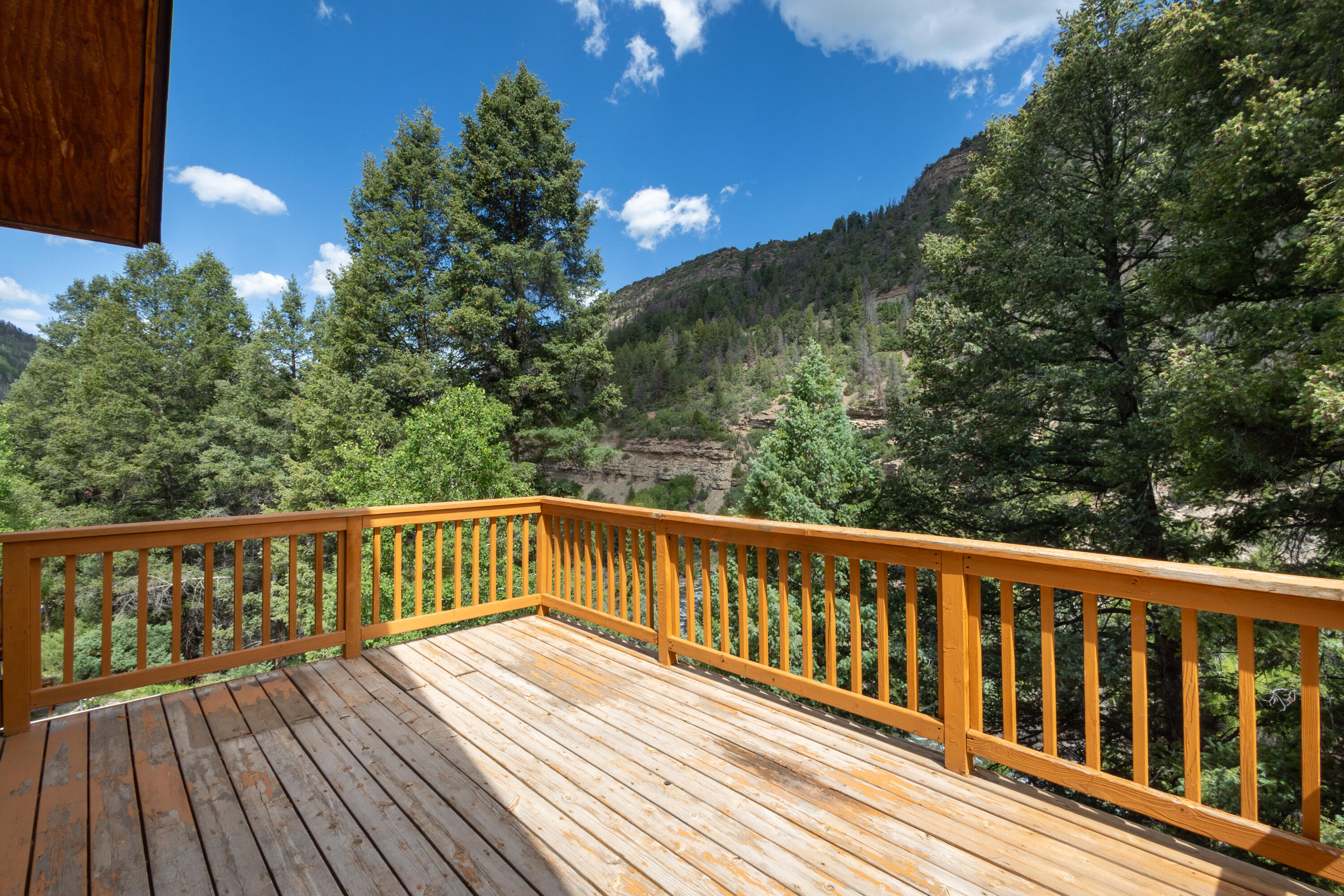 916 Two Rivers Drive Telluride, CO 81435 - Photo 9 of 10 0L0A2634