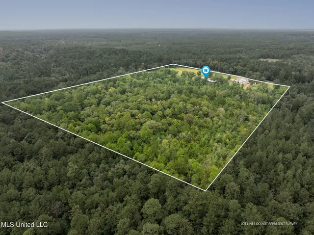 $600,000 | 9641 F S 301, Brooklyn, MS 39425