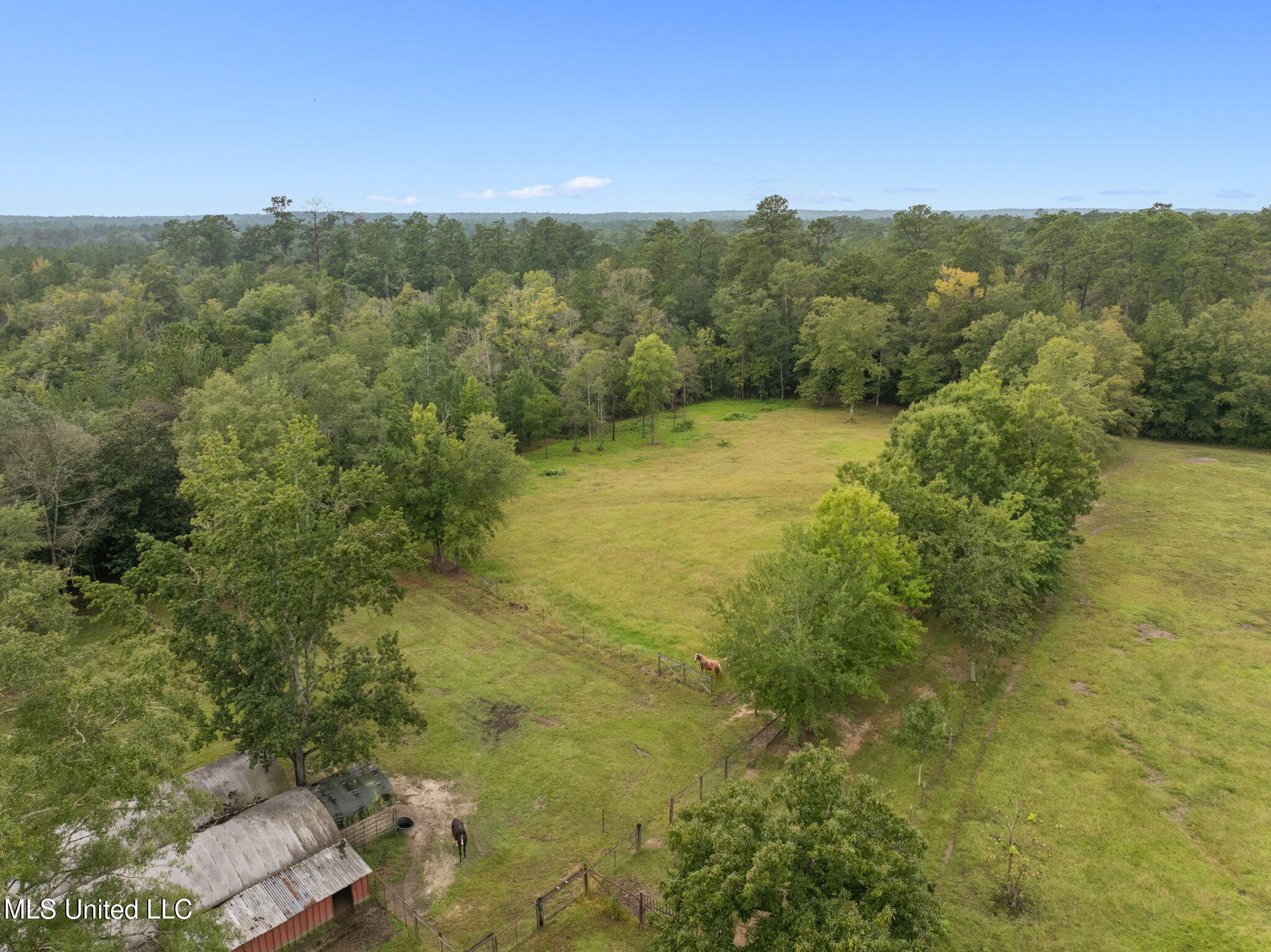 9641 F S 301 Brooklyn, MS 39425 - Photo 35 of 39 9641_Janice_Brooklyn_Rd-35