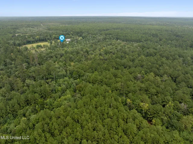 $600,000 | 9641 F S 301, Brooklyn, MS 39425