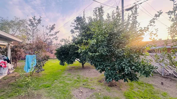 a view of yard with green space