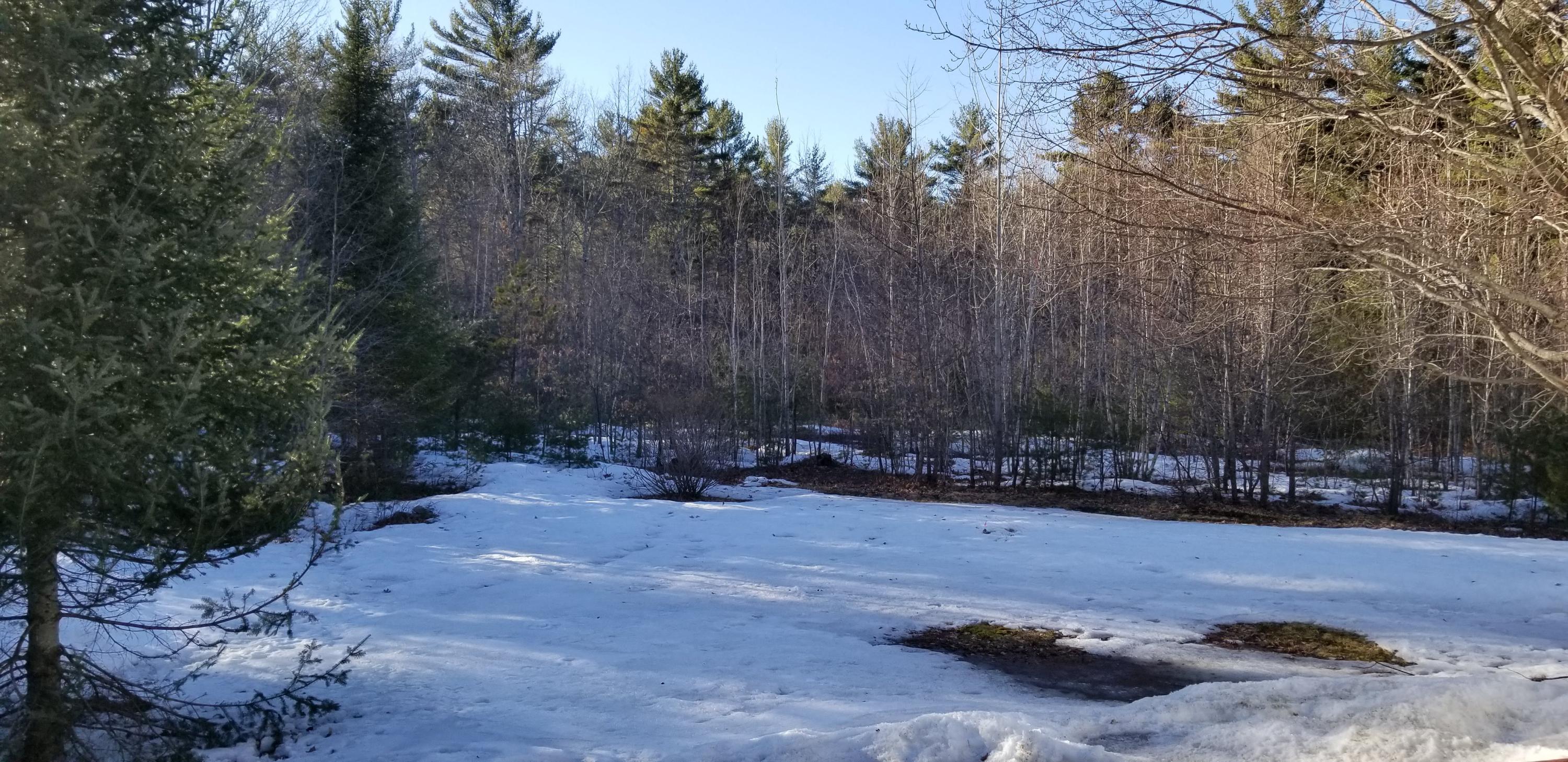 423 Shaker Road Gray, ME 04039 - Photo 11 of 40 20190404_173516