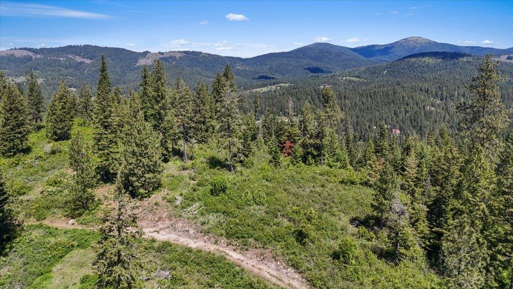 18-xxx East Miner Road Mead, WA 99021 - Photo 1 of 40