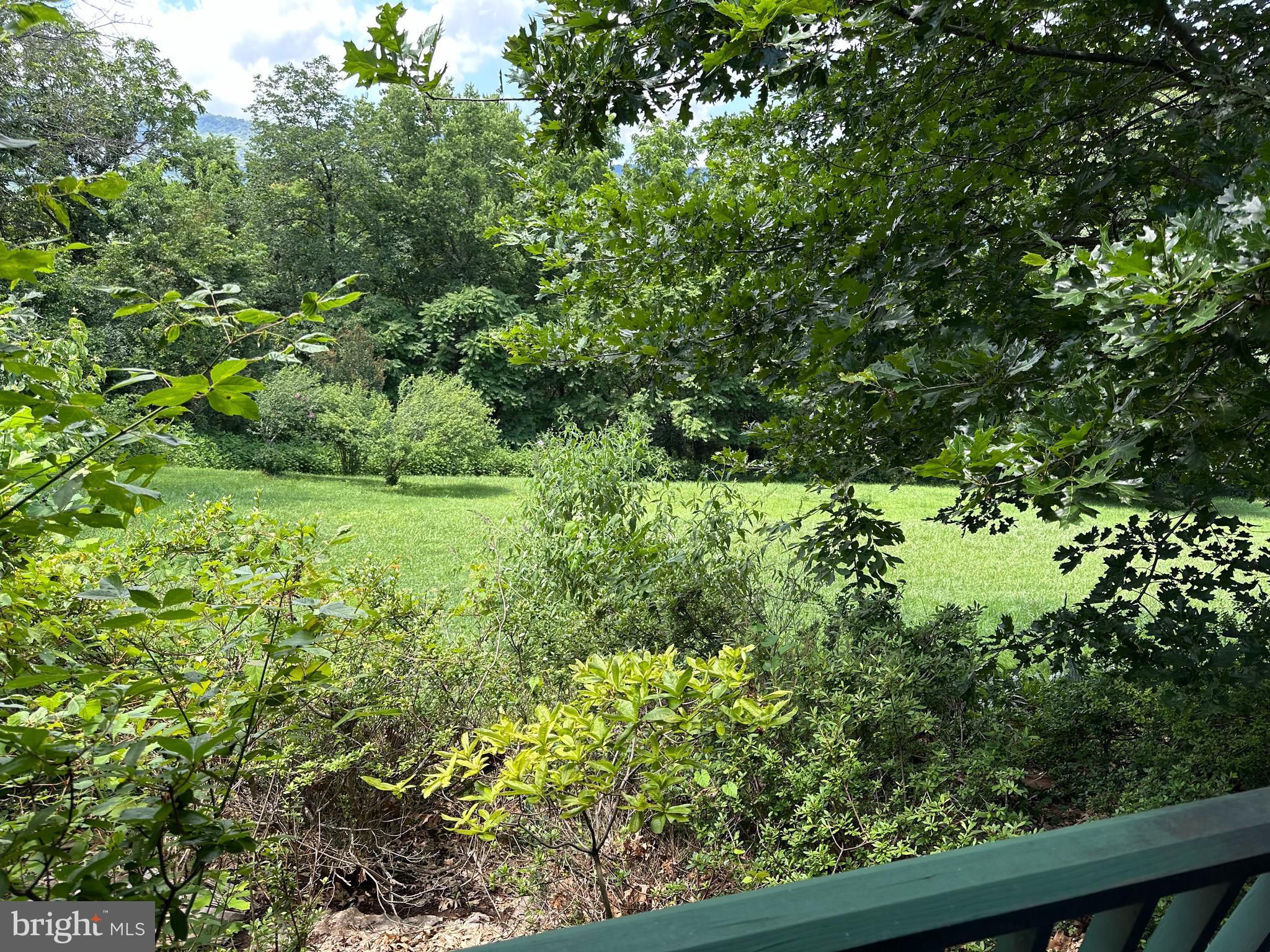333 Beylors Ferry Road Rileyville, VA 22650 - Photo 35 of 65