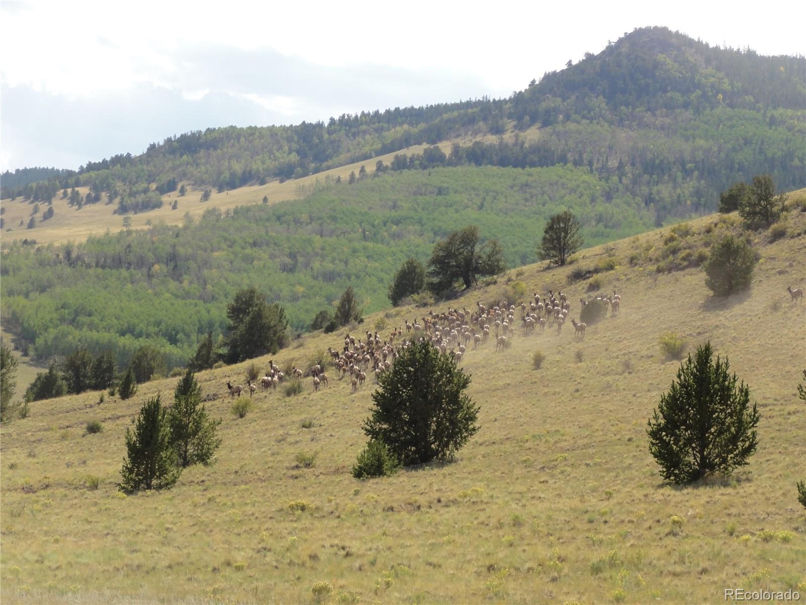 108 County Road Guffey, CO 80820 - Photo 4 of 5 a view of a mountain with beach