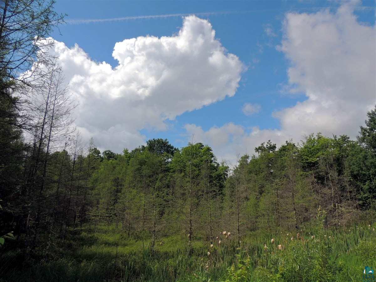 Lot 4 Karow Trail Cable, WI 54821 - Photo 3 of 9 Gallery Image 3