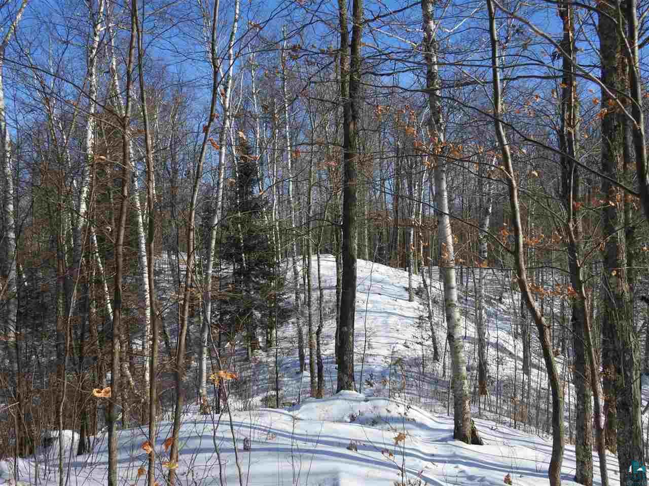 Lot 4 Karow Trail Cable, WI 54821 - Photo 7 of 9 Gallery Image 7