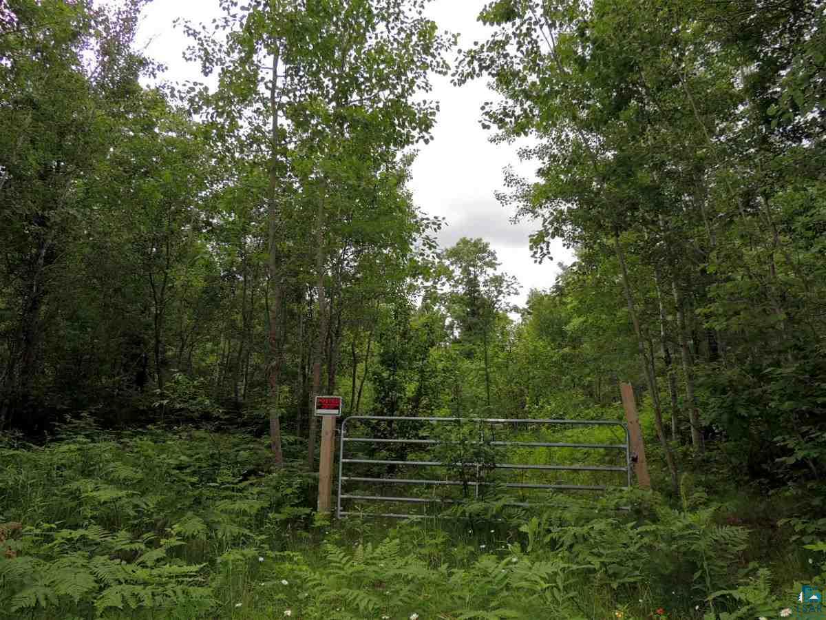Lot 4 Karow Trail Cable, WI 54821 - Photo 8 of 9 Gallery Image 8