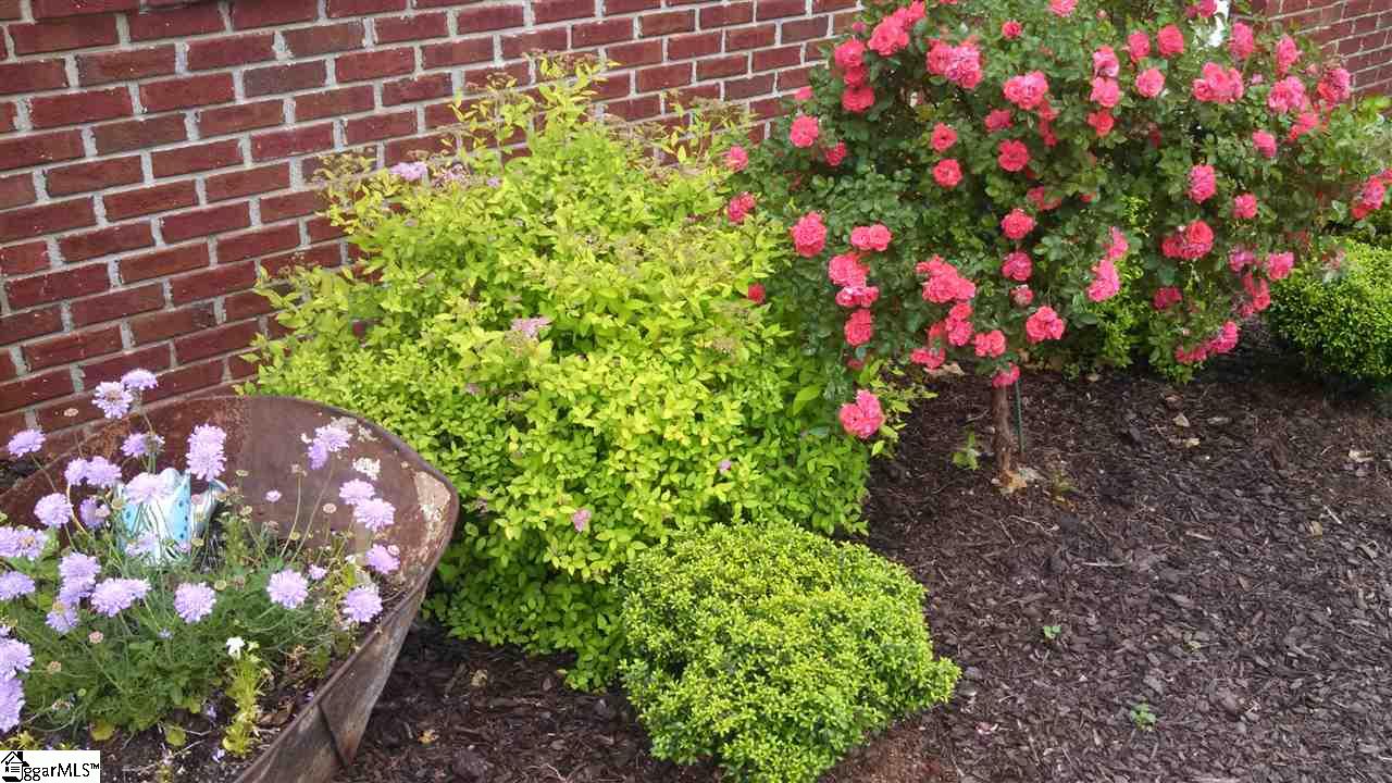 115 Birch River Road Greenville, SC 29611 - Photo 30 of 36 Gallery Image 30