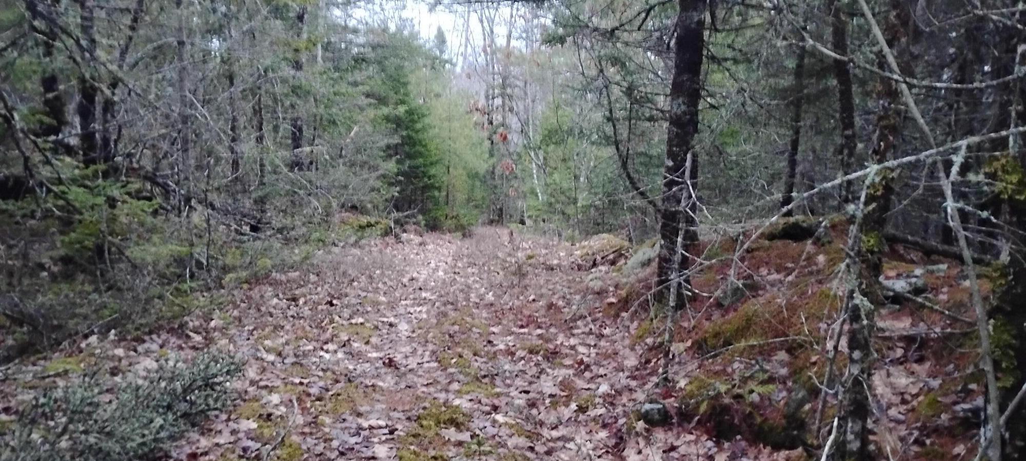 162 Ayers Junction Road Pembroke, ME 04666 - Photo 8 of 31