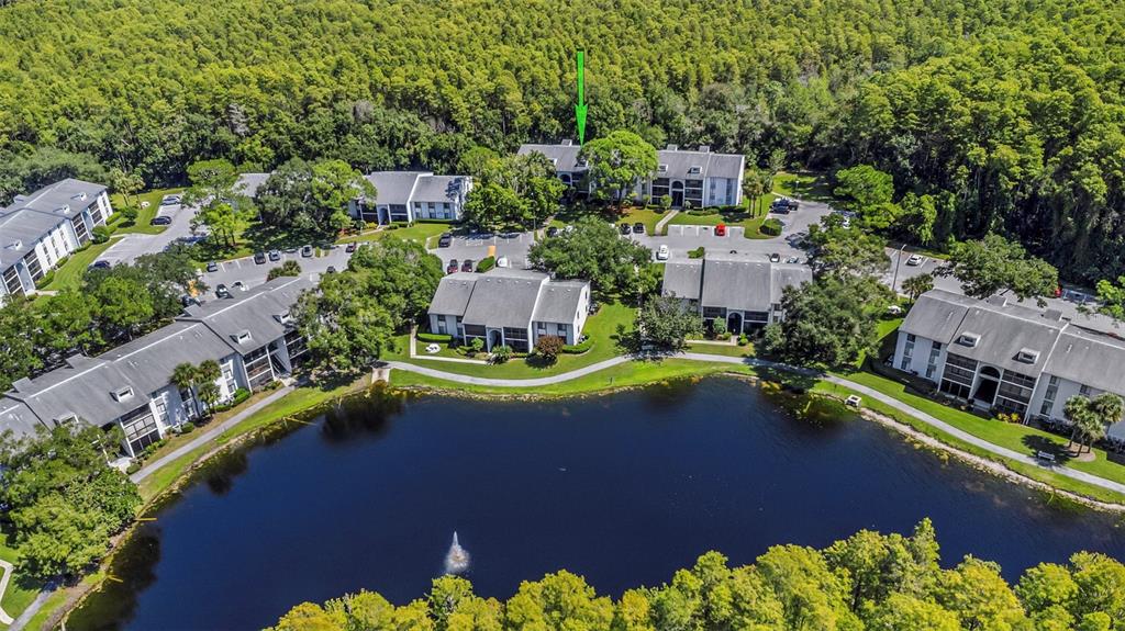 1344 Pine Ridge Circle East, Unit D2 Tarpon Springs, FL 34688 - Photo 43 of 44 an aerial view of a house with a garden and swimming pool