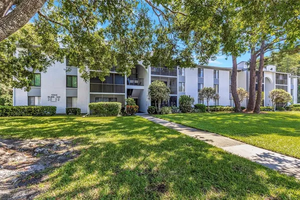 a view of a backyard with large trees and plants
