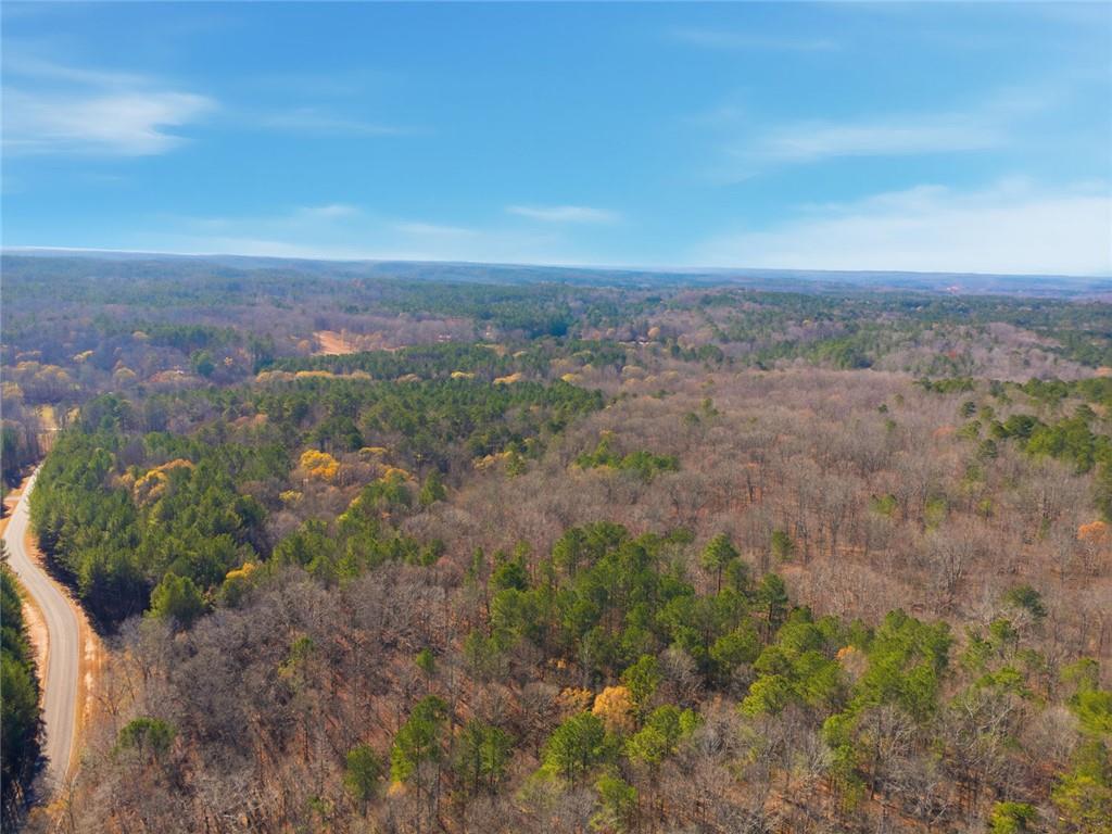 0 Creel Road Fairburn, GA 30213 - Photo 3 of 8 a view of a city with lush green forest