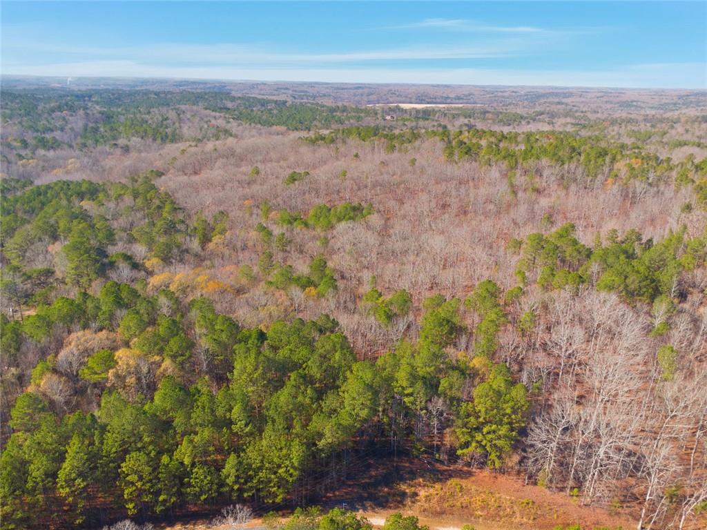 0 Creel Road Fairburn, GA 30213 - Photo 4 of 8 a view of a yard with an outdoor space