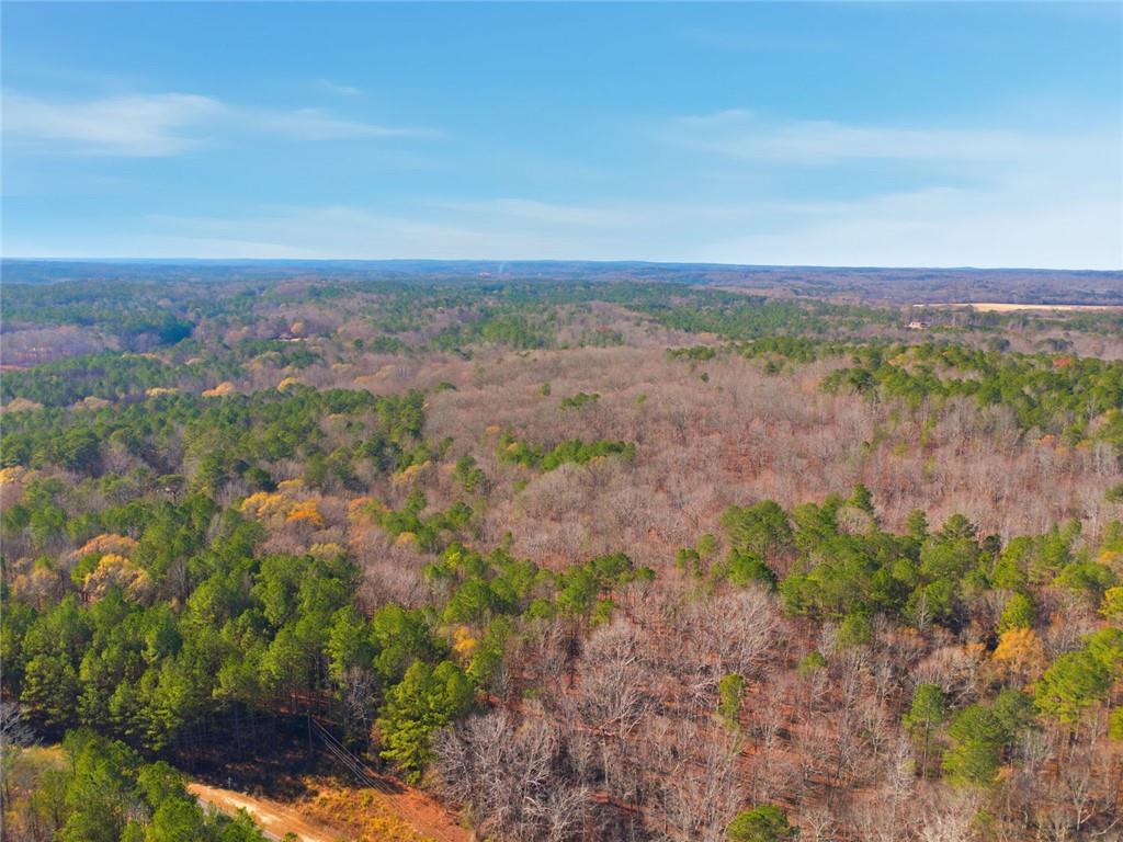 0 Creel Road Fairburn, GA 30213 - Photo 5 of 8 a view of a big yard with lots of green space