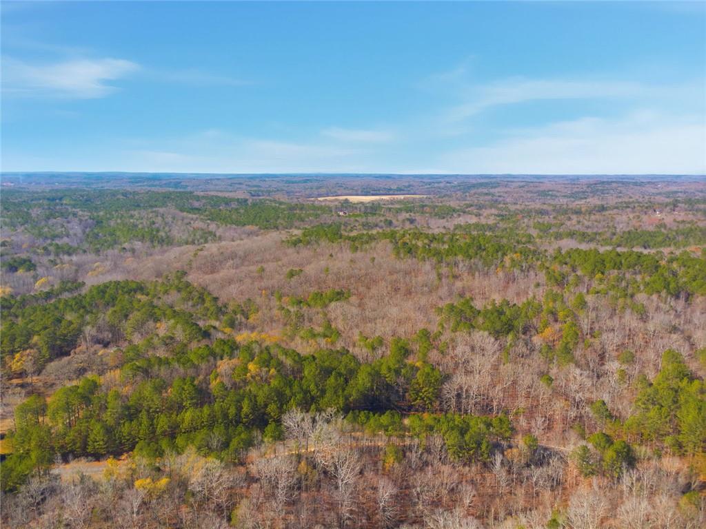 0 Creel Road Fairburn, GA 30213 - Photo 8 of 8 a view of lake with mountain in background