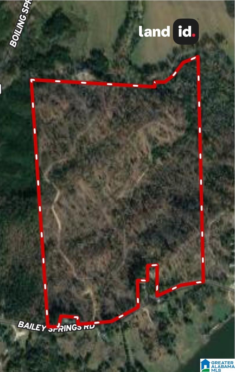 0 Bailey Springs Road Ohatchee, AL 36271 - Photo 10 of 10