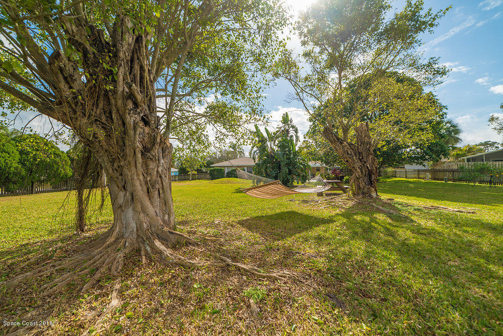 700 Montclair Road Northeast Palm Bay, FL 32905 - Photo 11 of 46 a view of yard with swimming pool and trees in the background