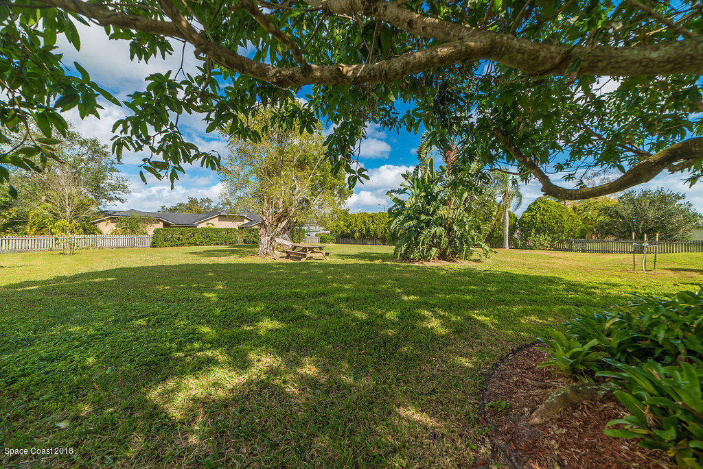 700 Montclair Road Northeast Palm Bay, FL 32905 - Photo 14 of 46 a view of outdoor space with trees all around