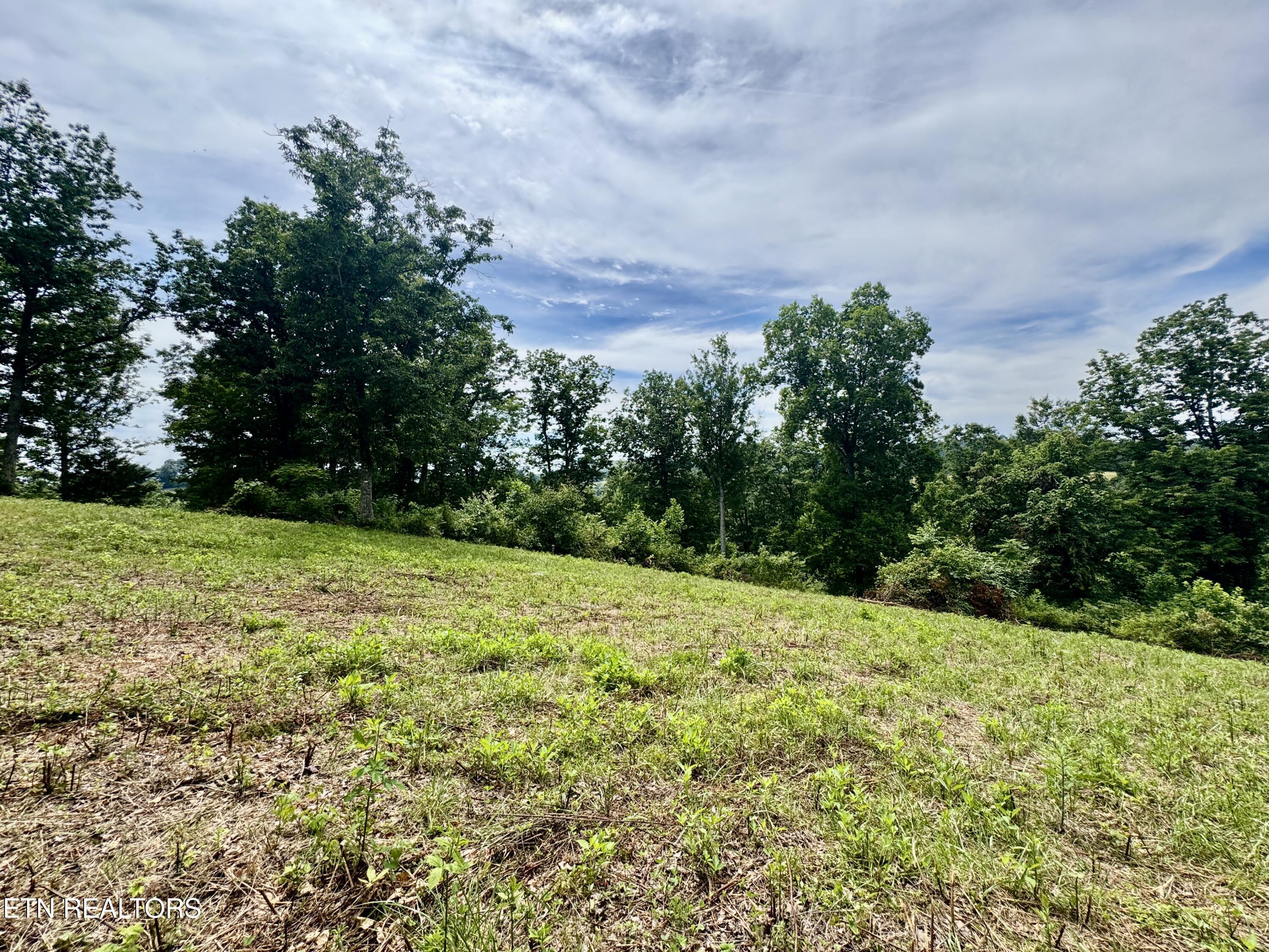 378 Johnson Hollow Road New Tazewell, TN 37825 - Photo 21 of 35 1-21