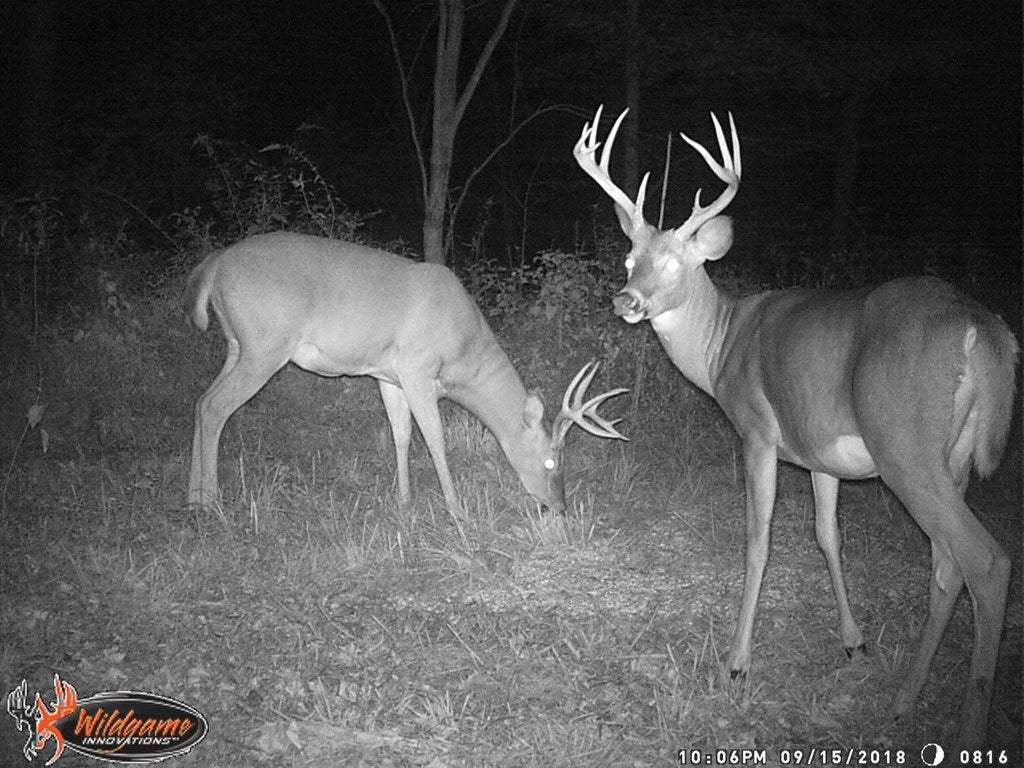 Ac Jr Loy Road Columbia, KY 42728 - Photo 8 of 11 Gallery Image 8