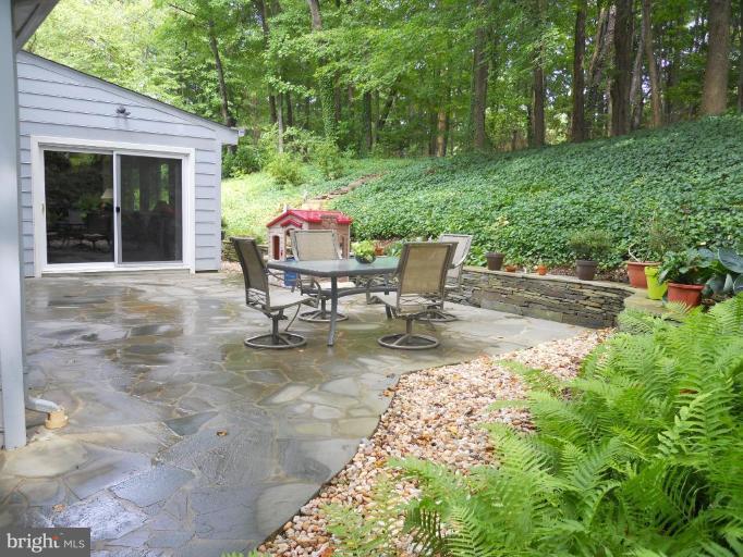7117 Devonshire Road Alexandria, VA 22307 - Photo 17 of 21 Back yard
