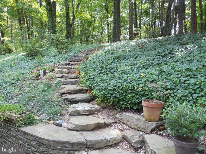 7117 Devonshire Road Alexandria, VA 22307 - Photo 19 of 21 Back Steps to Wooded Back Yard