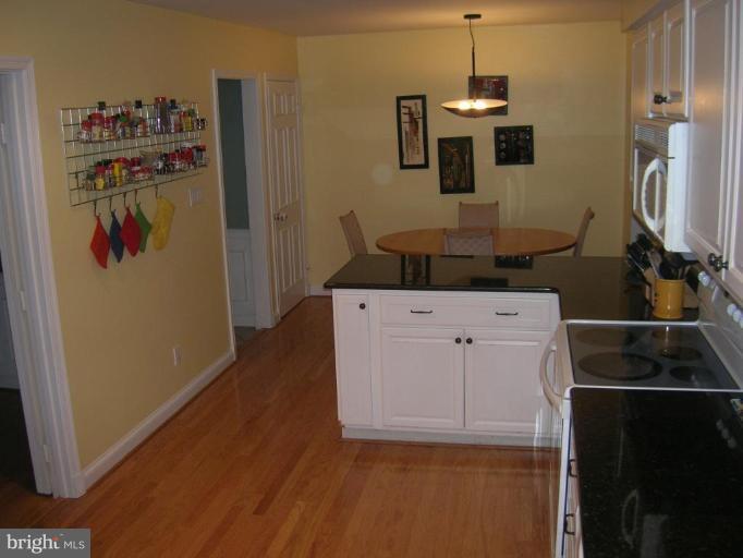 7117 Devonshire Road Alexandria, VA 22307 - Photo 4 of 21 Kitchen #2