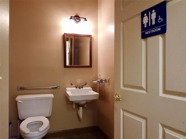 a bathroom with a toilet a sink and mirror