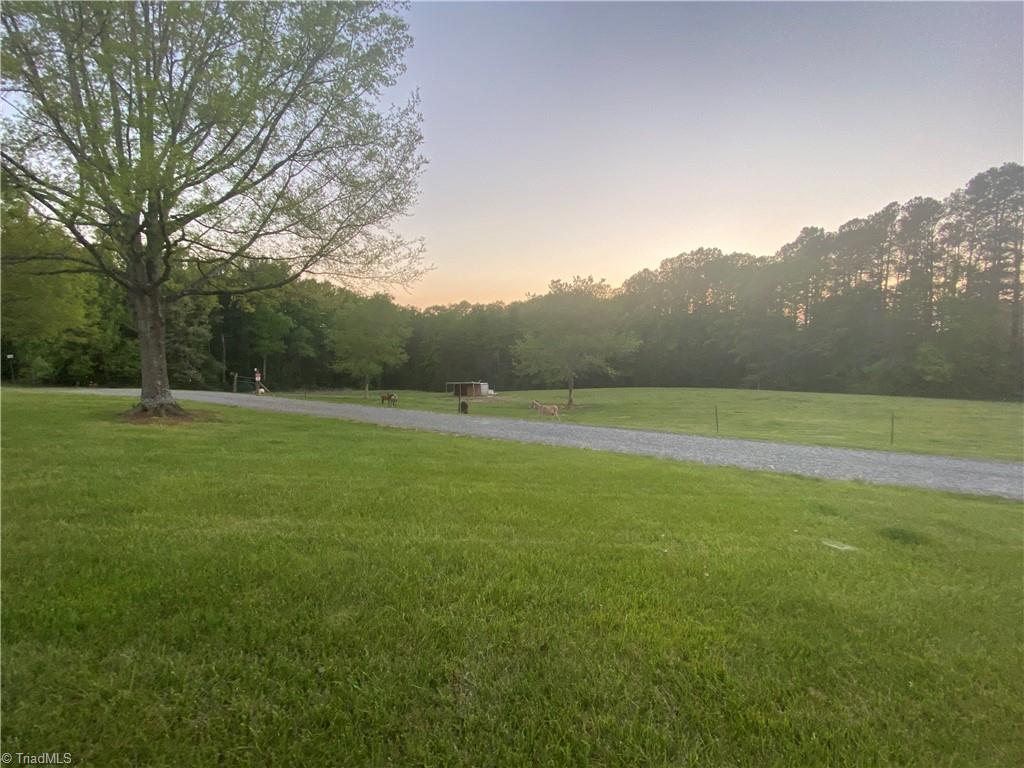 274 Ellis Hardy Road Pinnacle, NC 27043 - Photo 8 of 29