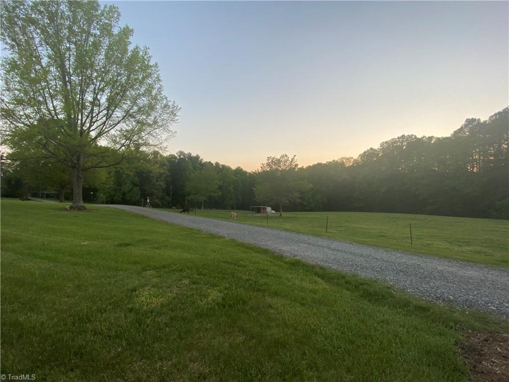 274 Ellis Hardy Road Pinnacle, NC 27043 - Photo 9 of 29