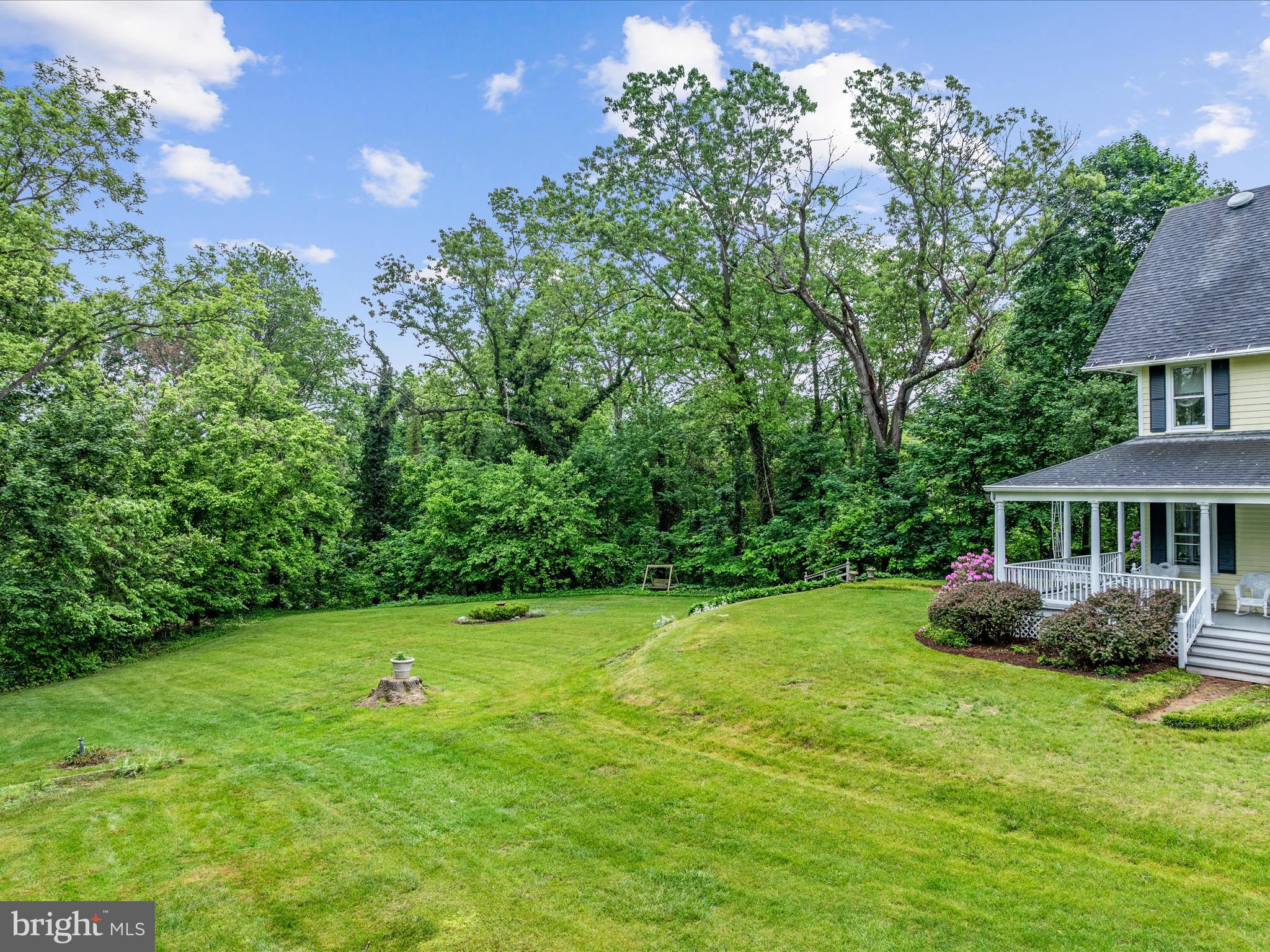 658 Wissler Road Quicksburg, VA 22847 - Photo 67 of 97 Front Lawn