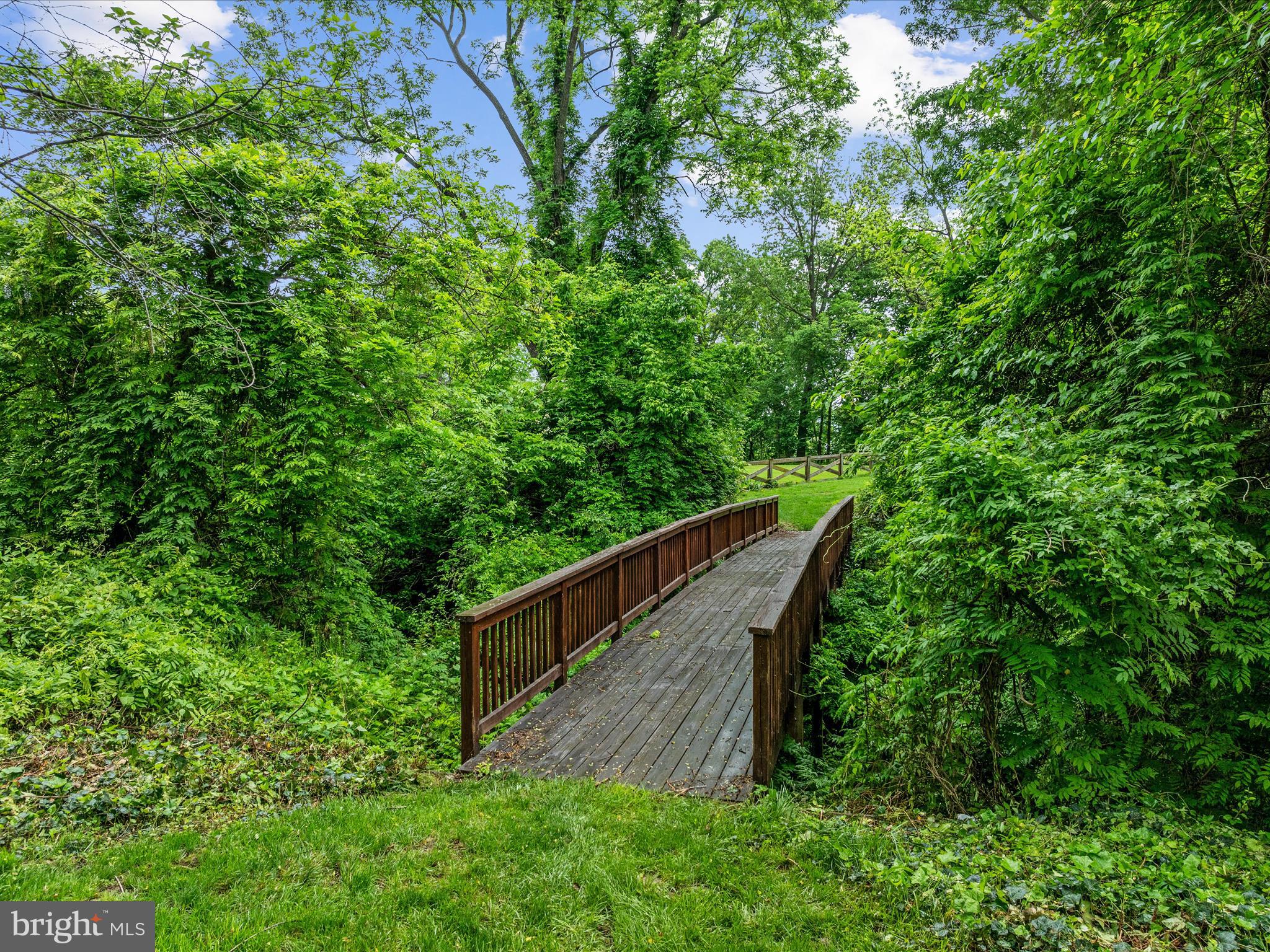 658 Wissler Road Quicksburg, VA 22847 - Photo 74 of 97 Walkway across the Ravine