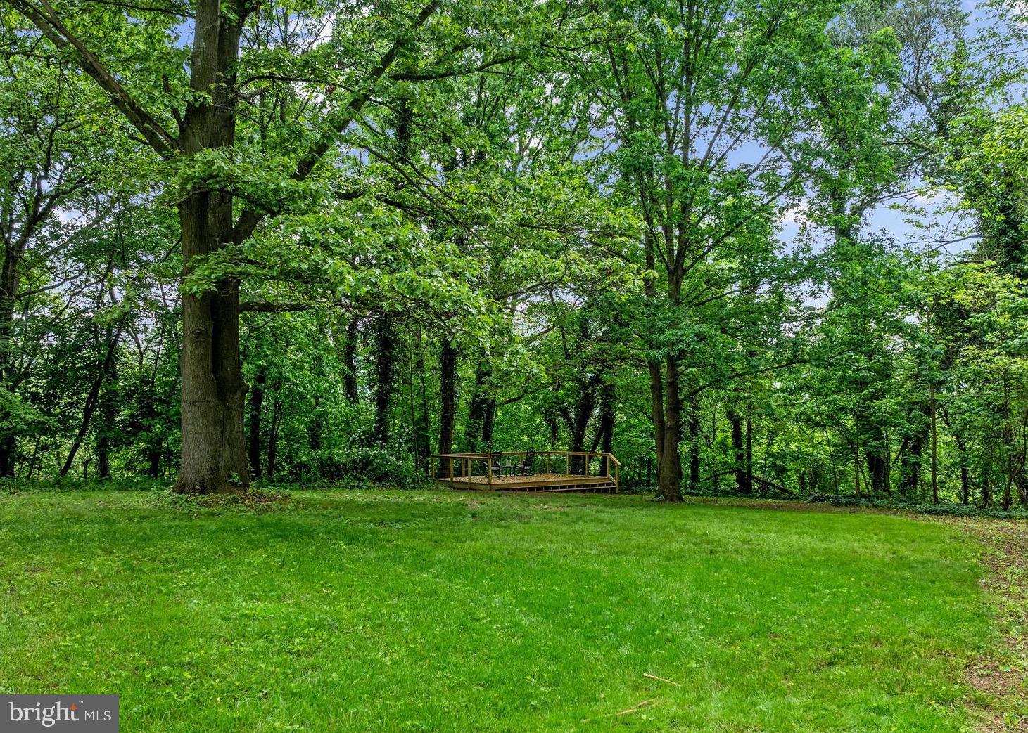 658 Wissler Road Quicksburg, VA 22847 - Photo 75 of 97 Back lawn & New Deck overlooking the River Area