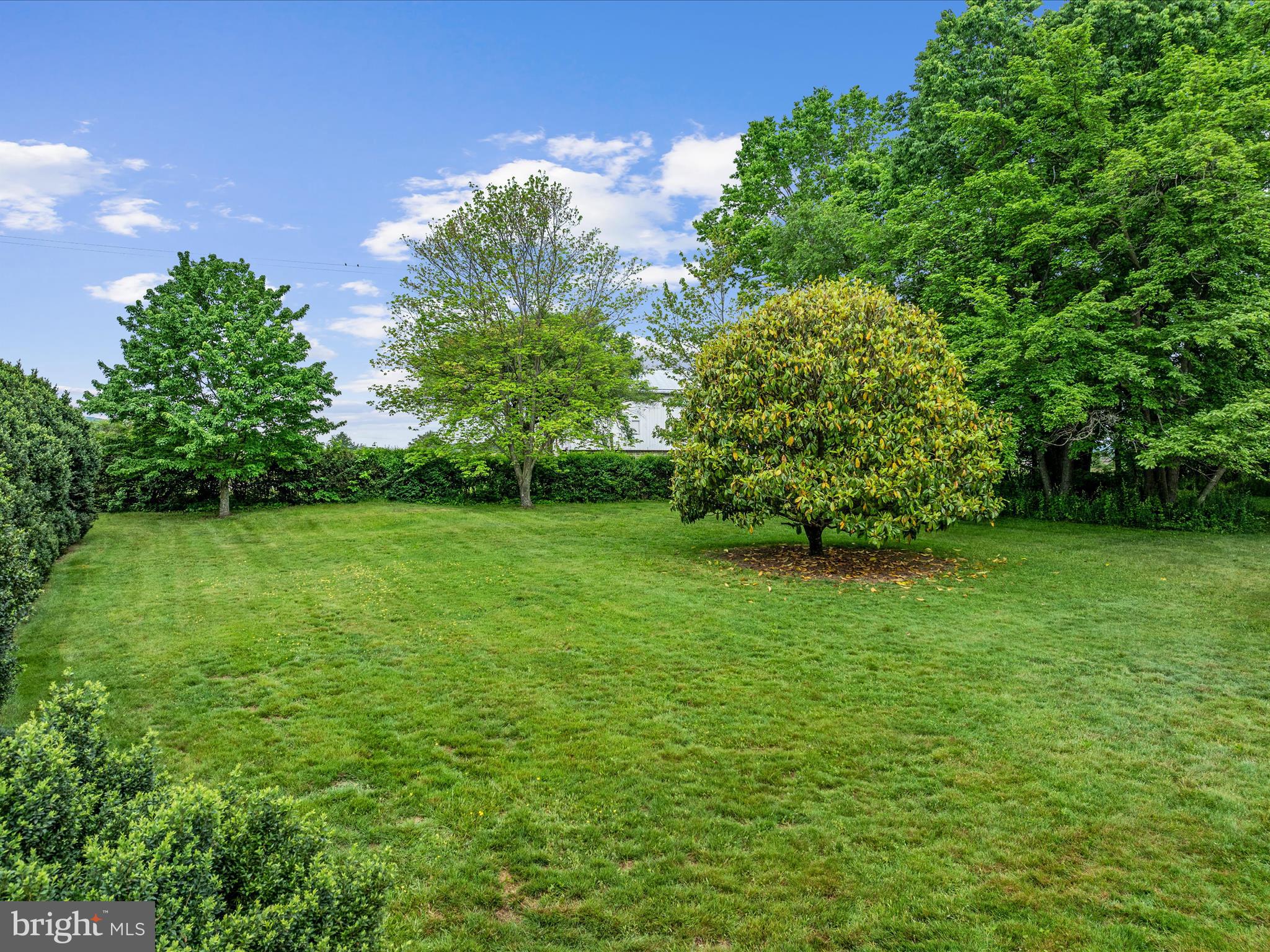 658 Wissler Road Quicksburg, VA 22847 - Photo 79 of 97 Side Yard