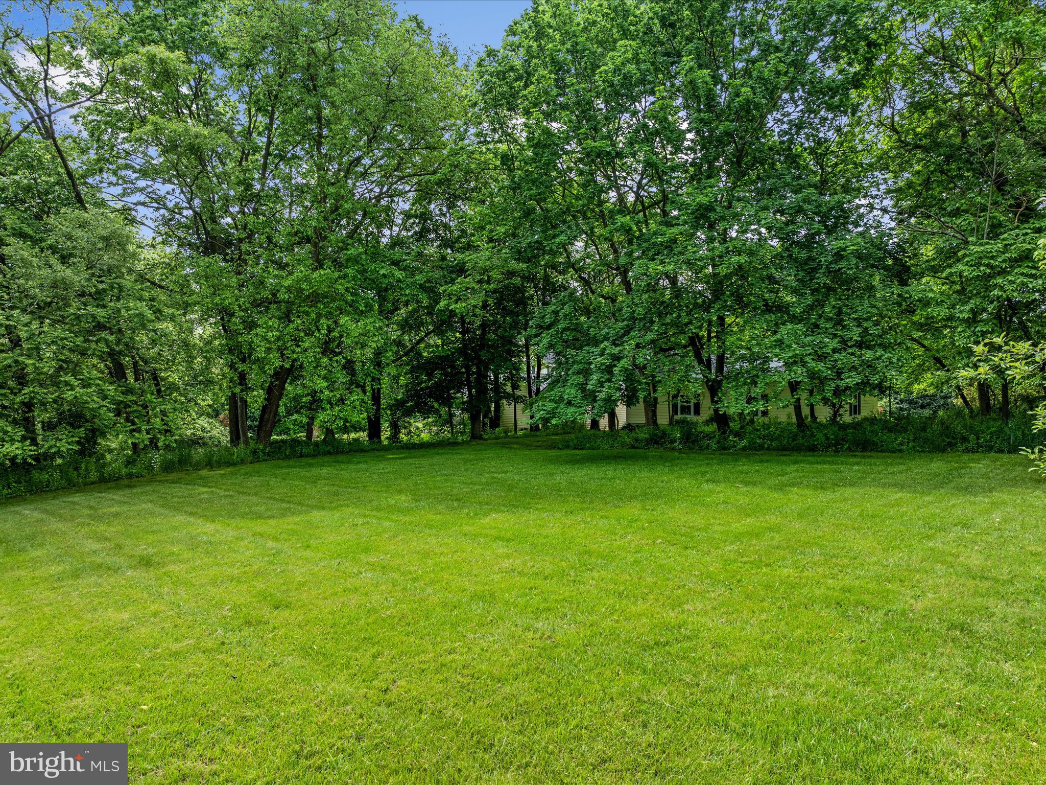 658 Wissler Road Quicksburg, VA 22847 - Photo 80 of 97 Side Yard