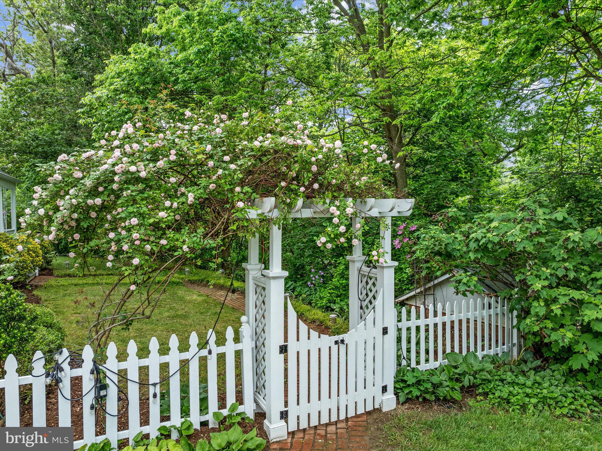 658 Wissler Road Quicksburg, VA 22847 - Photo 83 of 97 Gateway to the Front Yard