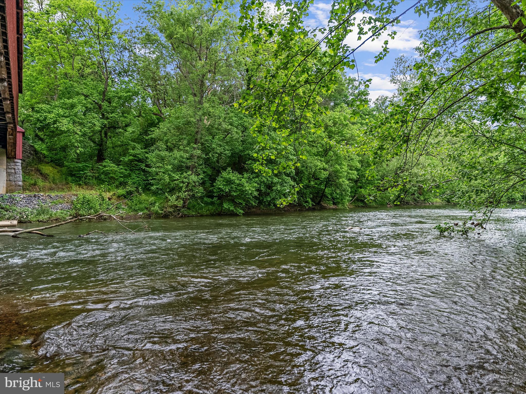 658 Wissler Road Quicksburg, VA 22847 - Photo 86 of 97 Shenandoah River
