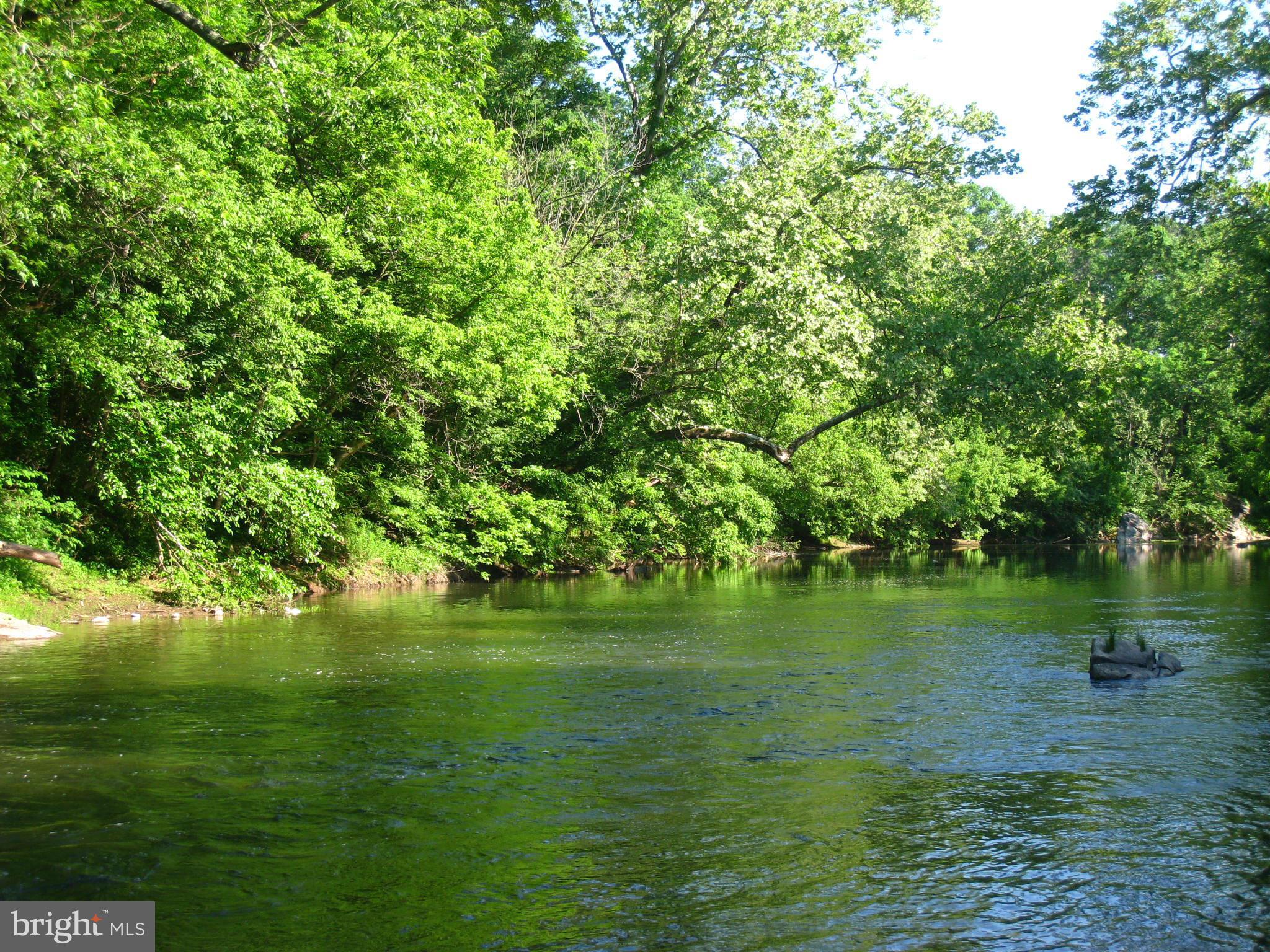 658 Wissler Road Quicksburg, VA 22847 - Photo 91 of 97 River Frontage
