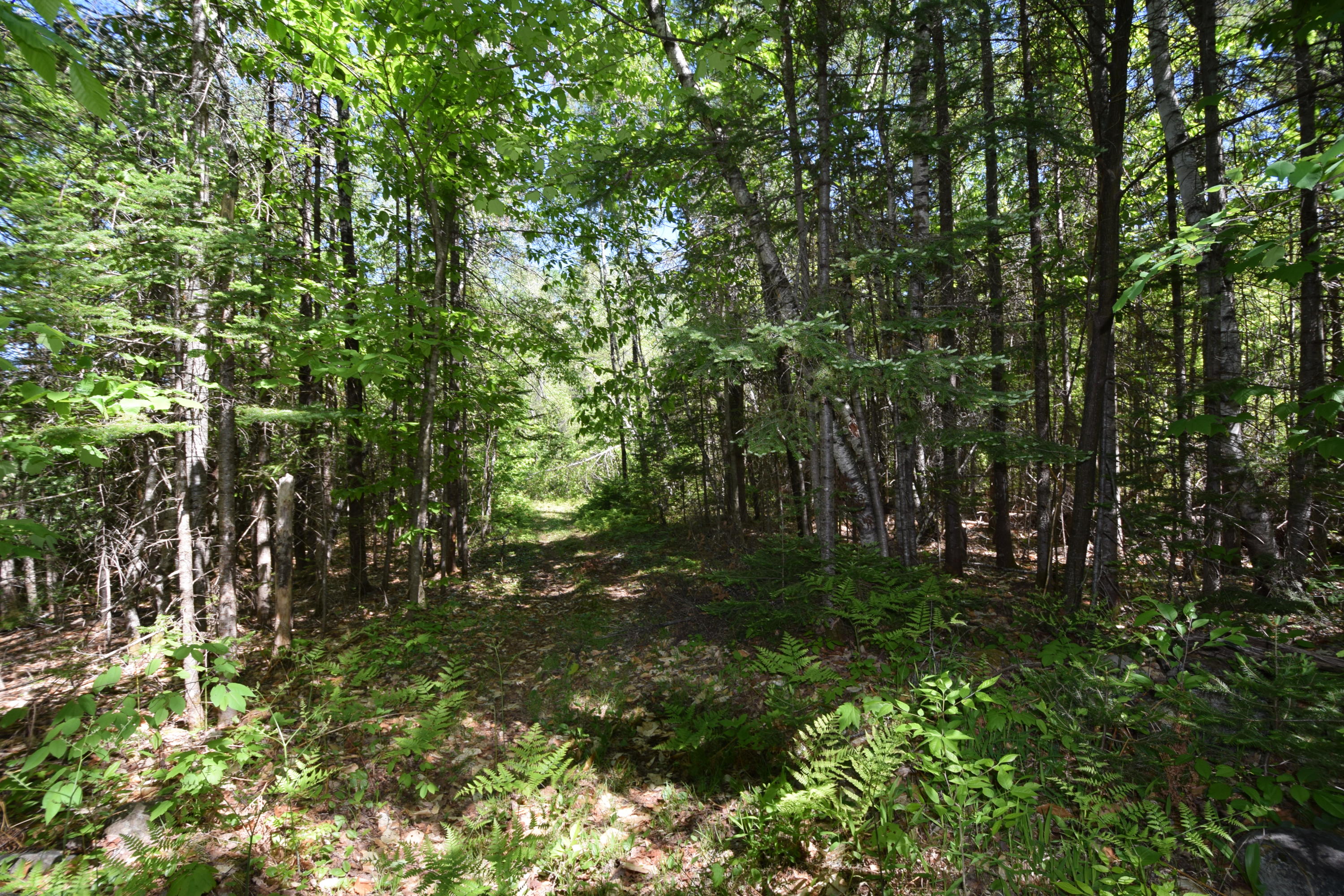 Lot 18 Tenney Hill Road Monson, ME 04464 - Photo 18 of 41 2020-06-01 22.38.35