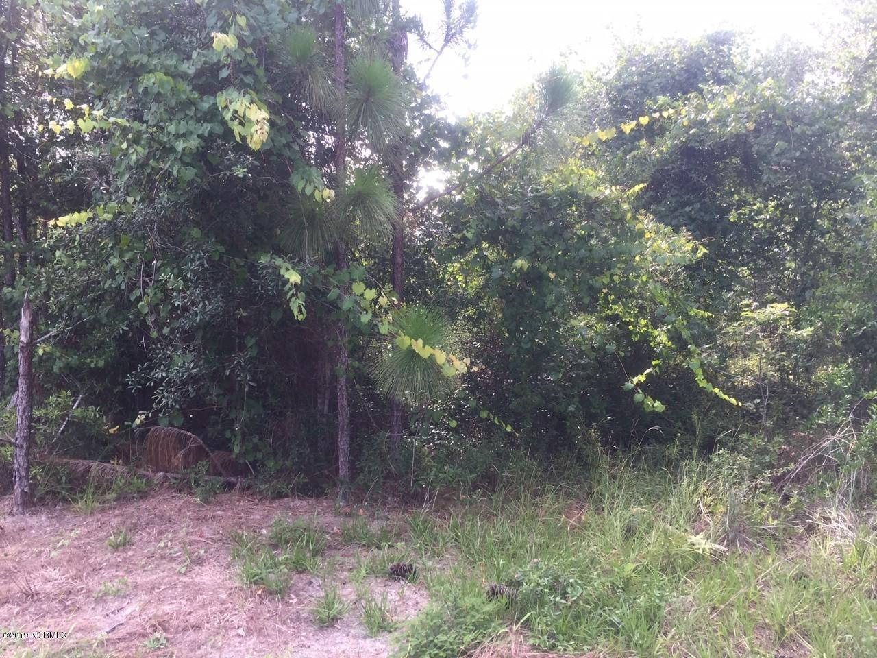 1675 East Boiling Spring Road Boiling Spring Lakes, NC 28461 - Photo 1 of 7 Roadside lot view