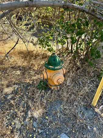 a view of a yard with trees