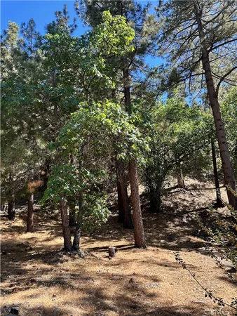 $69,000 | 0 Heath Creek Drive, Wrightwood, CA 92397