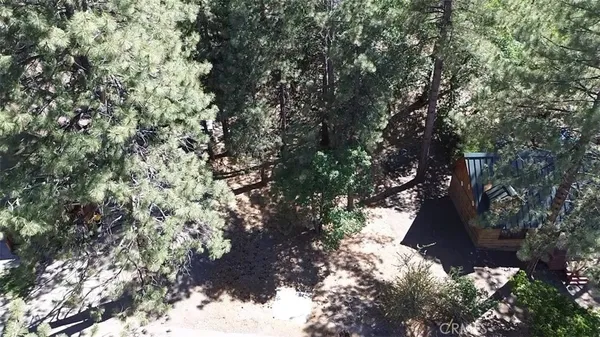 a view of a tree in a yard