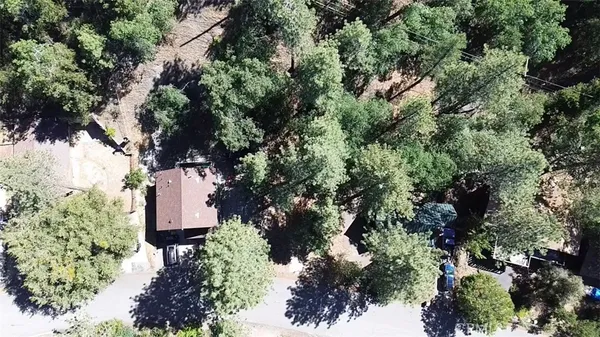 a view of a garden with a tree